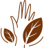 hemp-icon2